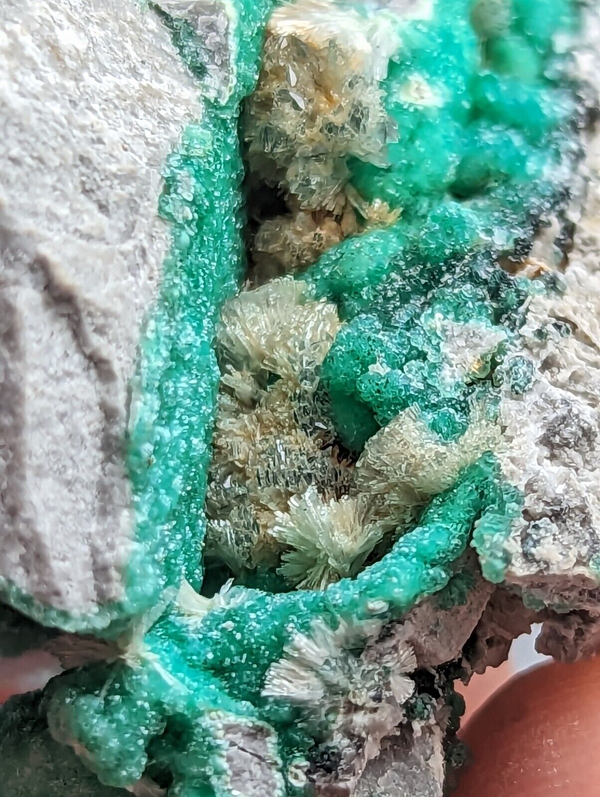 Wavellite on Variscite,Delinde Claim Garland Co Arkansas,1960s Old Stock RARE - Collectibles:Rocks Fossils &