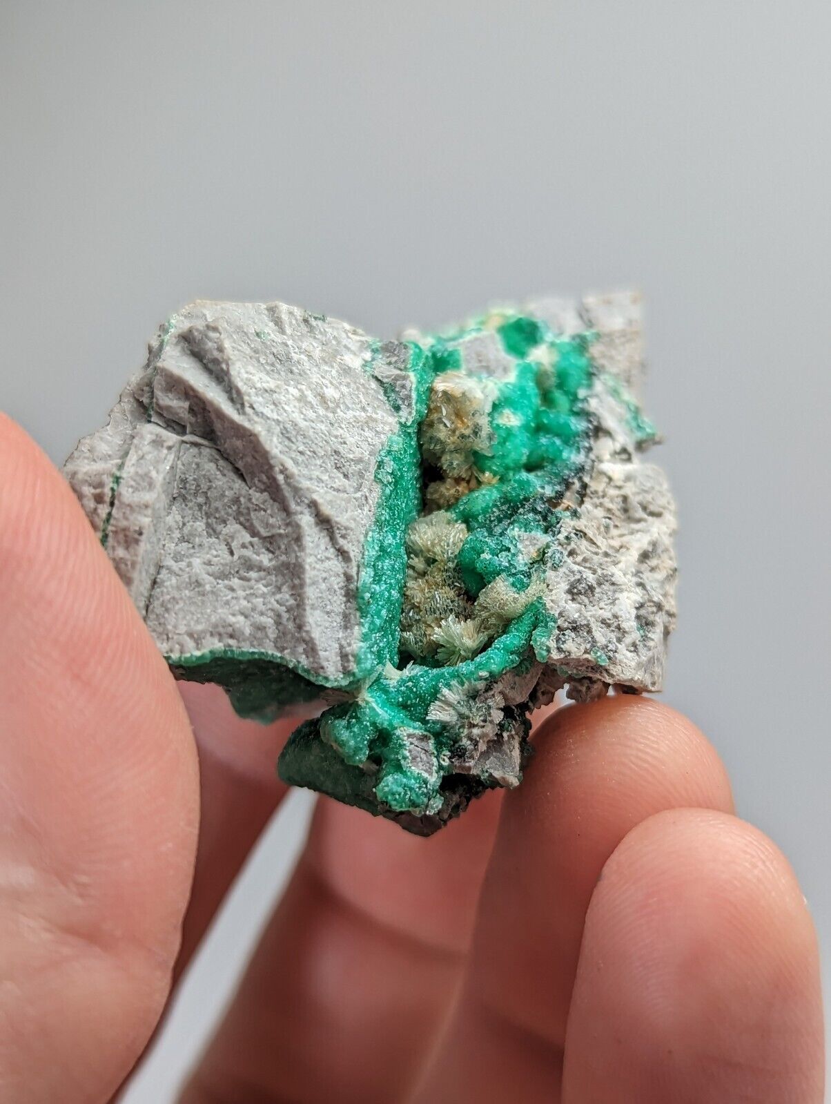 Wavellite on Variscite,Delinde Claim Garland Co Arkansas,1960s Old Stock RARE - Collectibles:Rocks Fossils &