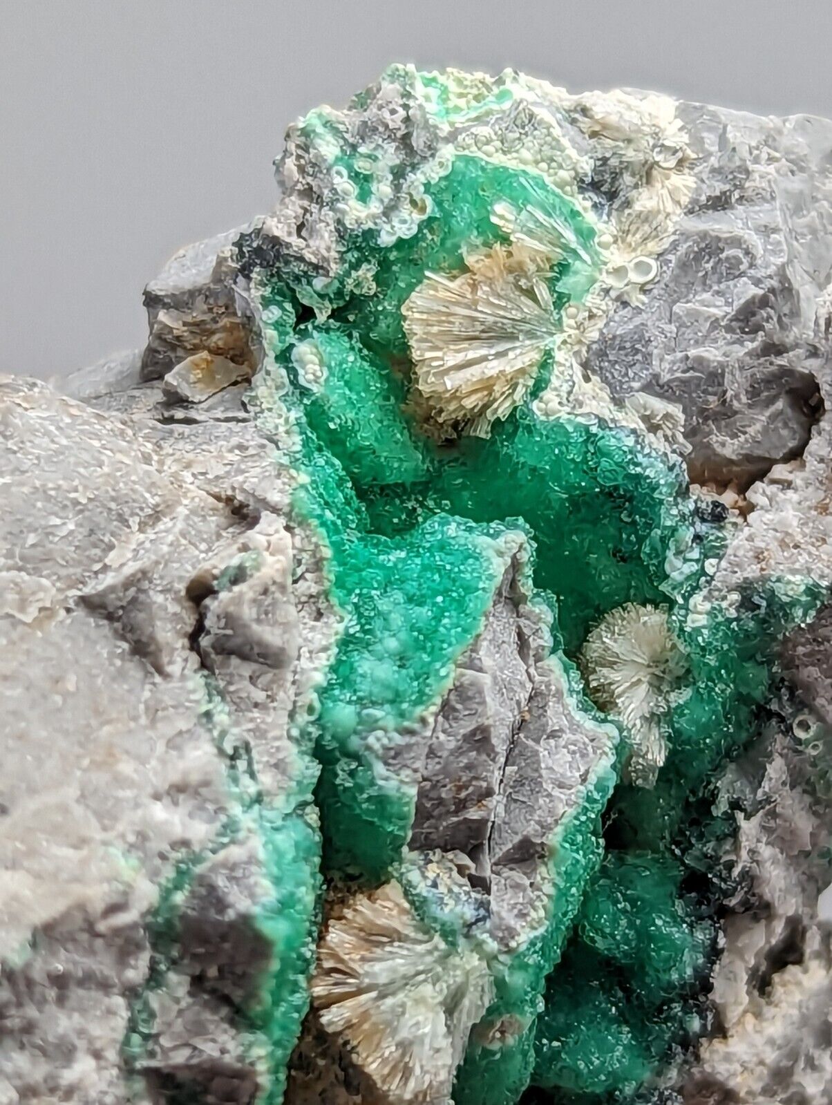 Wavellite on Variscite,Delinde Claim Garland Co Arkansas,1960s Old Stock RARE - Collectibles:Rocks Fossils &