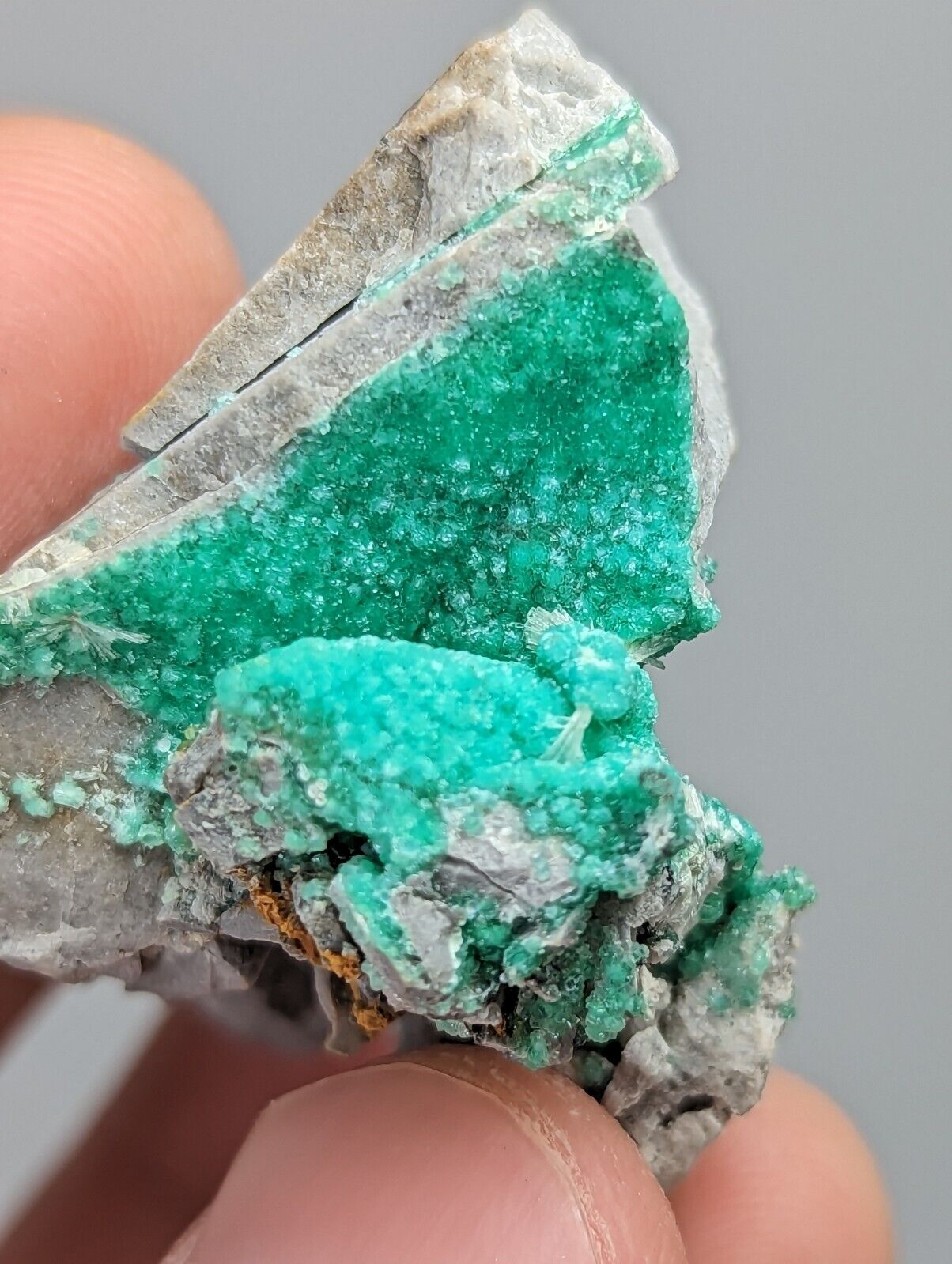 Wavellite on Variscite,Delinde Claim Garland Co Arkansas,1960s Old Stock RARE - Collectibles:Rocks Fossils &