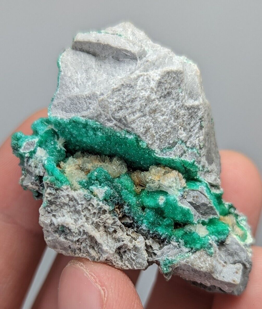 Wavellite on Variscite,Delinde Claim Garland Co Arkansas,1960s Old Stock RARE - Collectibles:Rocks Fossils &
