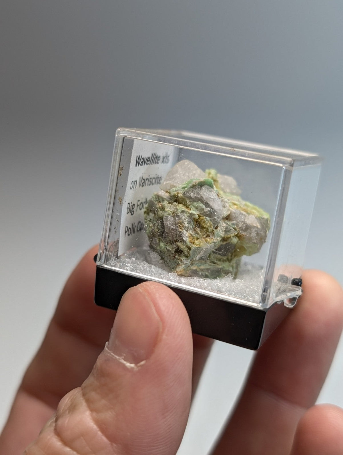 Wavellite on variscite mineral specimen green and white on vermiculite in clear acrylic display case with black base