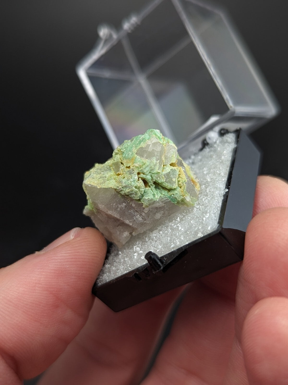 A green and white mineral specimen nestled in a black display box lined with foam.