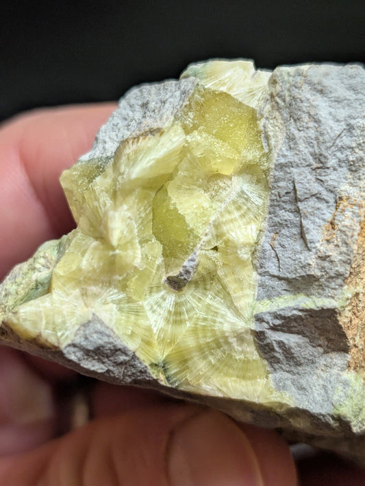 Wavellite w/ Crandallite Delinde Claim Garland County Arkansas USA,old stock - Collectibles:Rocks Fossils &