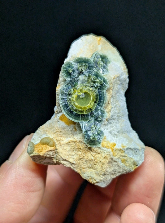 Wavellite w/ Eyes - Old Stock - Delinde Mine 1960s - Garland County Arkansas - Collectibles:Rocks Fossils &