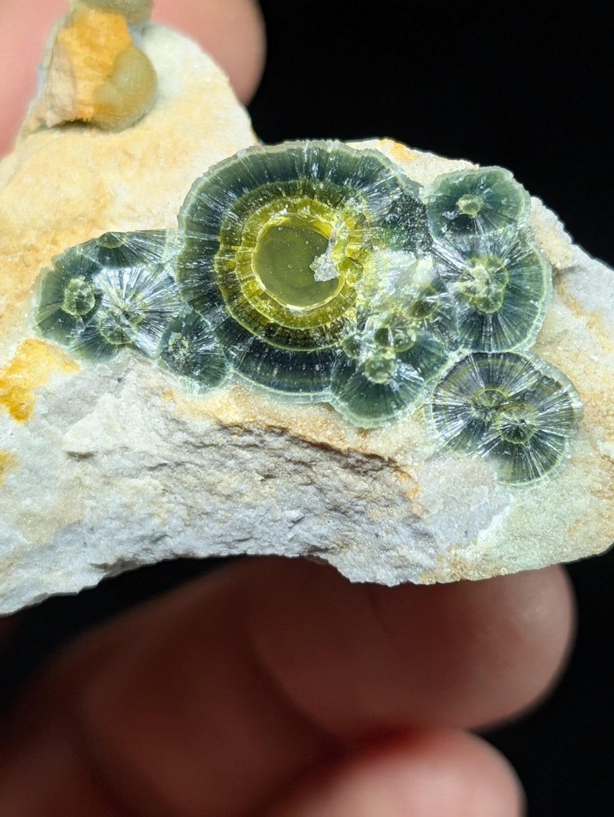 Wavellite w/ Eyes - Old Stock - Delinde Mine 1960s - Garland County Arkansas - Collectibles:Rocks Fossils &