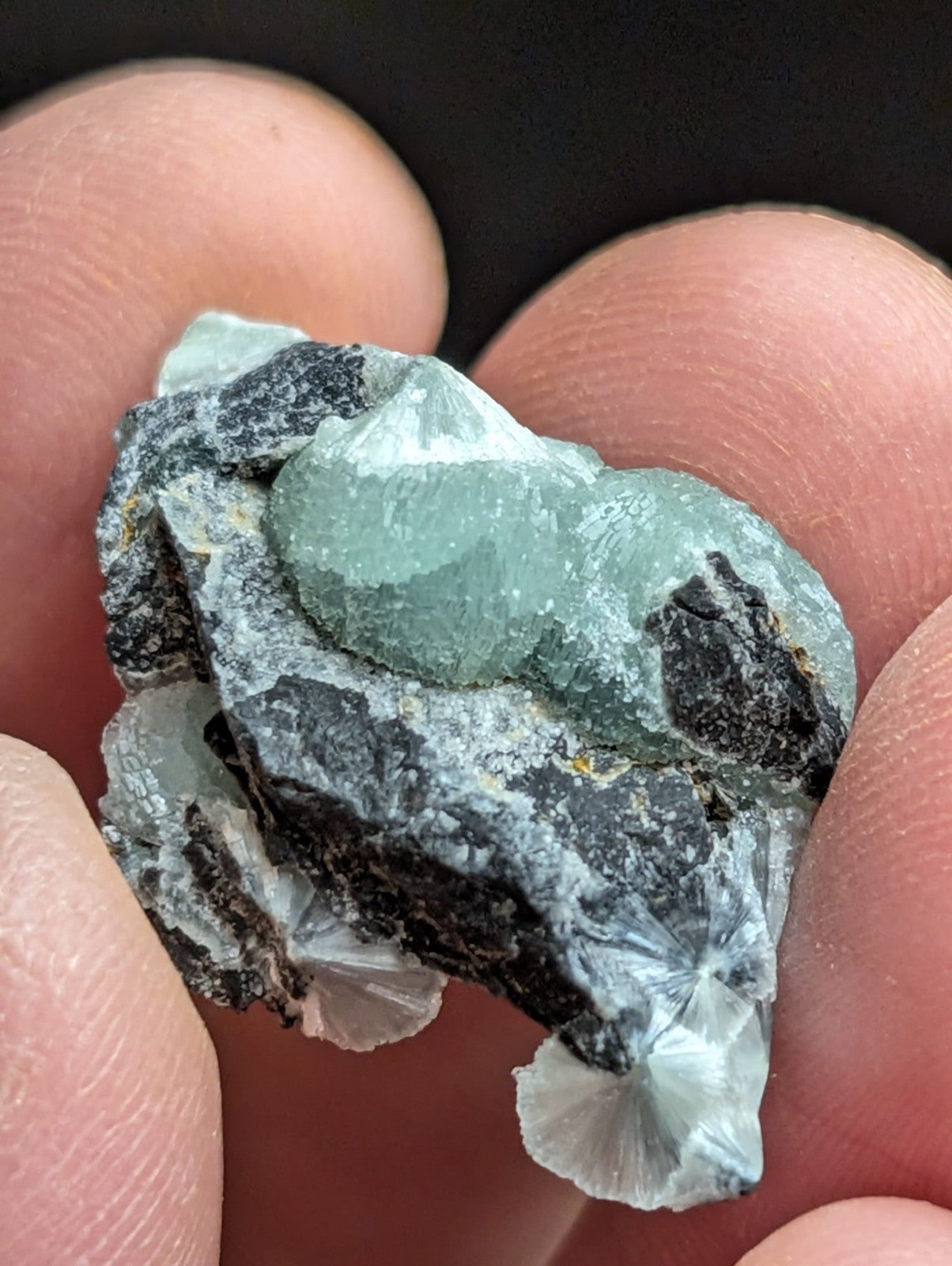 Wavellite w/ Great Crystallization Mauldin Mountain,Montgomery Co. Arkansas A + - Collectibles:Rocks Fossils &