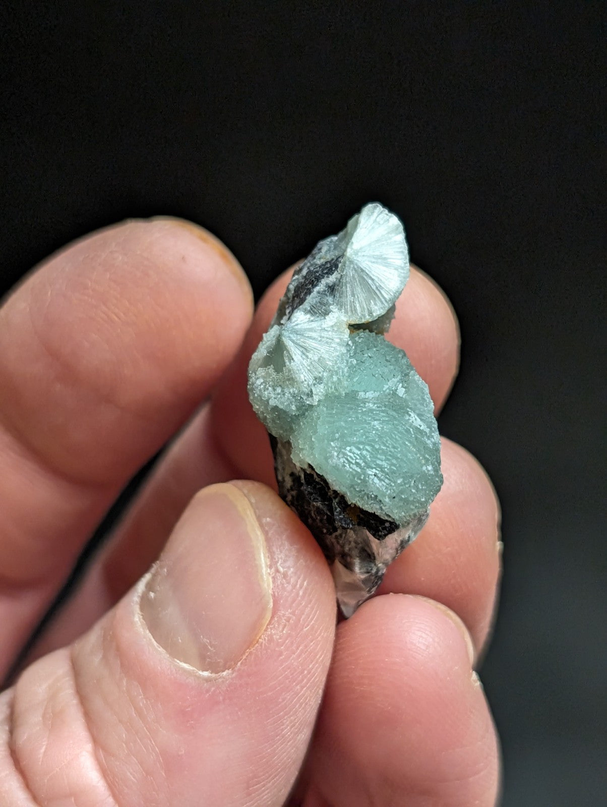 Wavellite w/ Great Crystallization Mauldin Mountain,Montgomery Co. Arkansas A + - Collectibles:Rocks Fossils &
