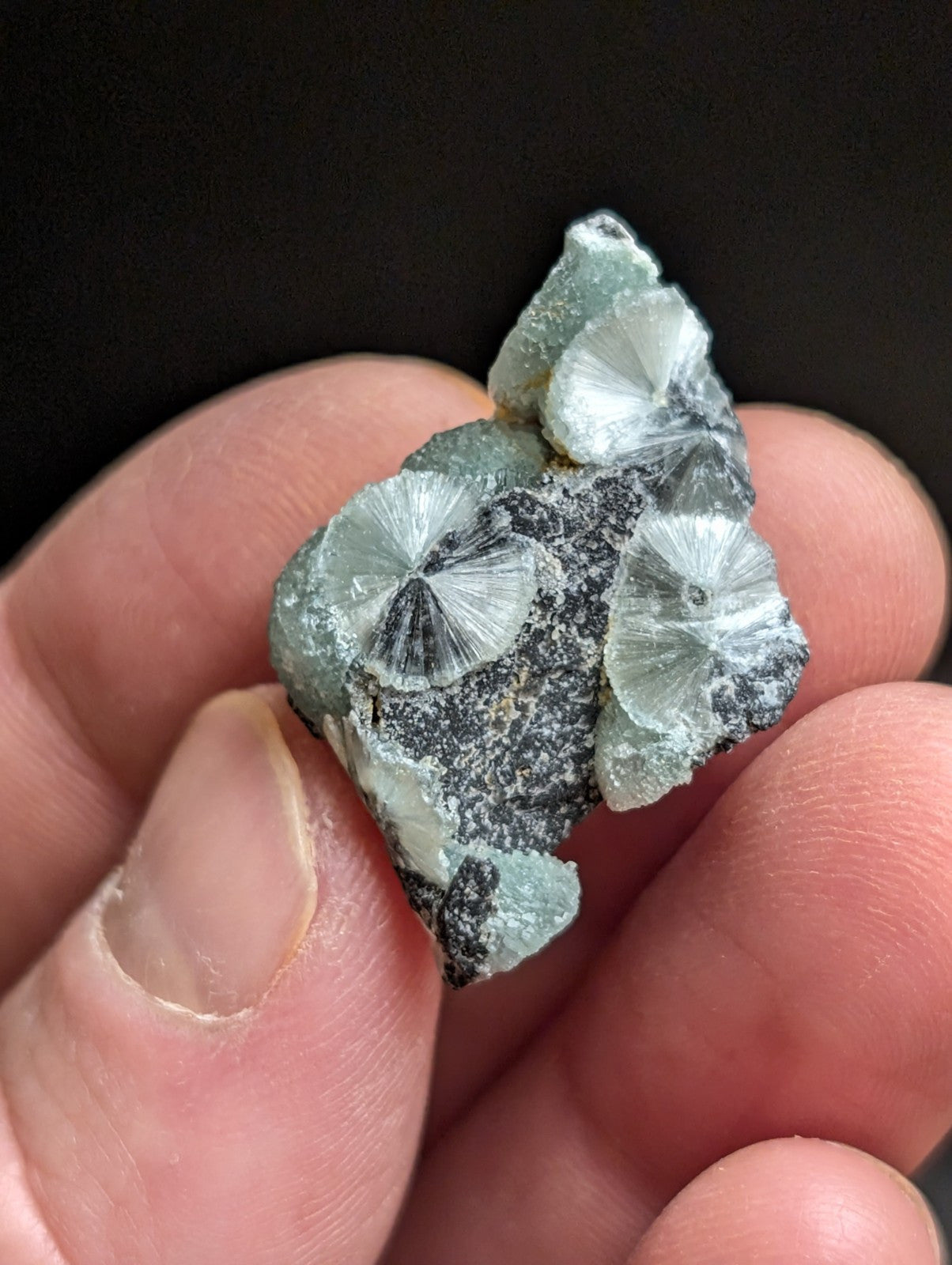 Wavellite w/ Great Crystallization Mauldin Mountain,Montgomery Co. Arkansas A + - Collectibles:Rocks Fossils &