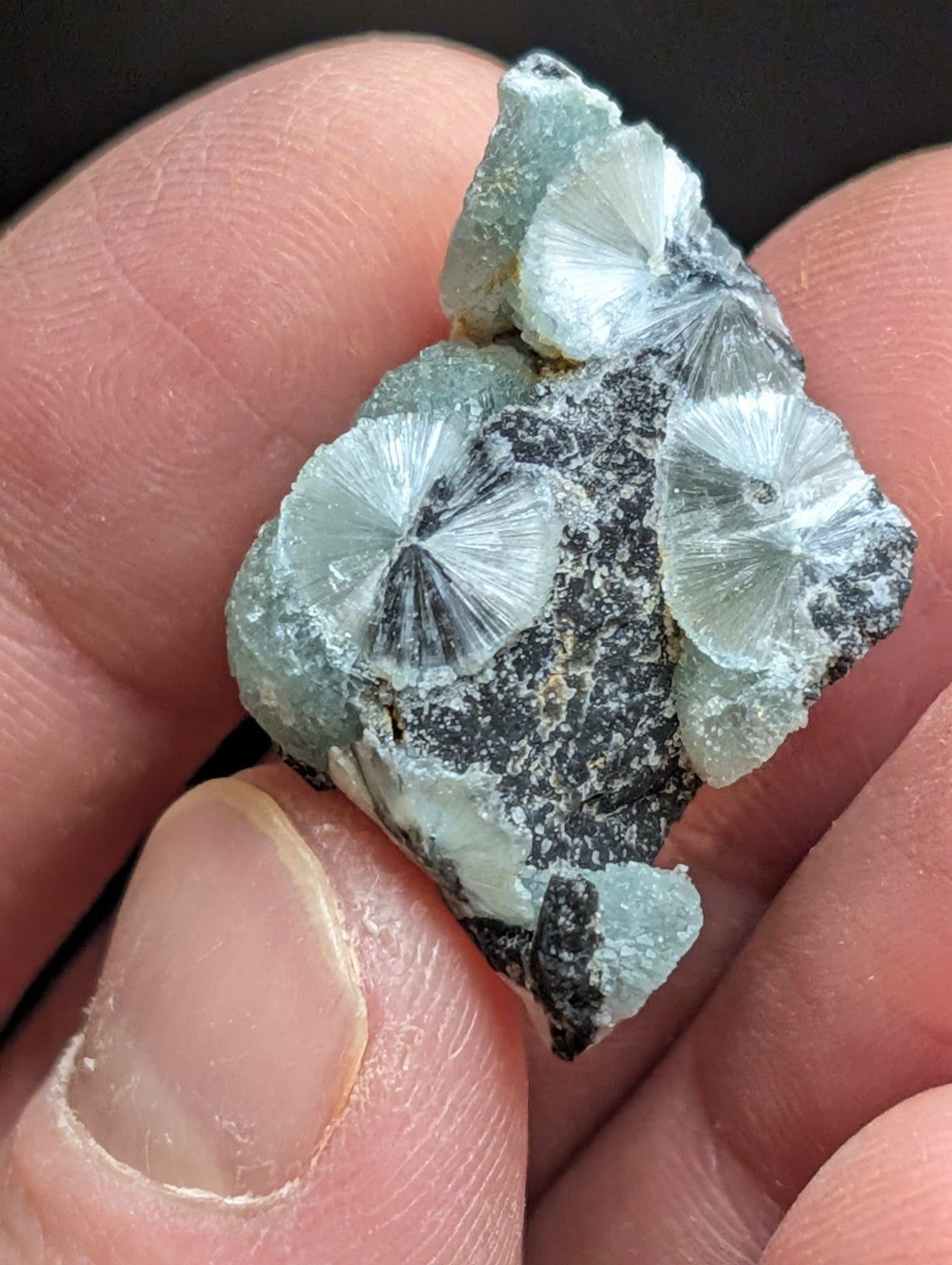 Wavellite w/ Great Crystallization Mauldin Mountain,Montgomery Co. Arkansas A + - Collectibles:Rocks Fossils &
