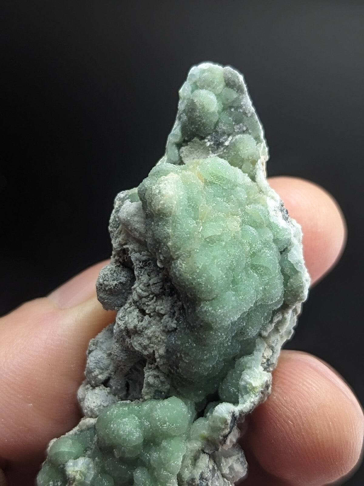 A hand holds a green, bumpy mineral specimen with translucent, crystalline formations set against a dark matrix.