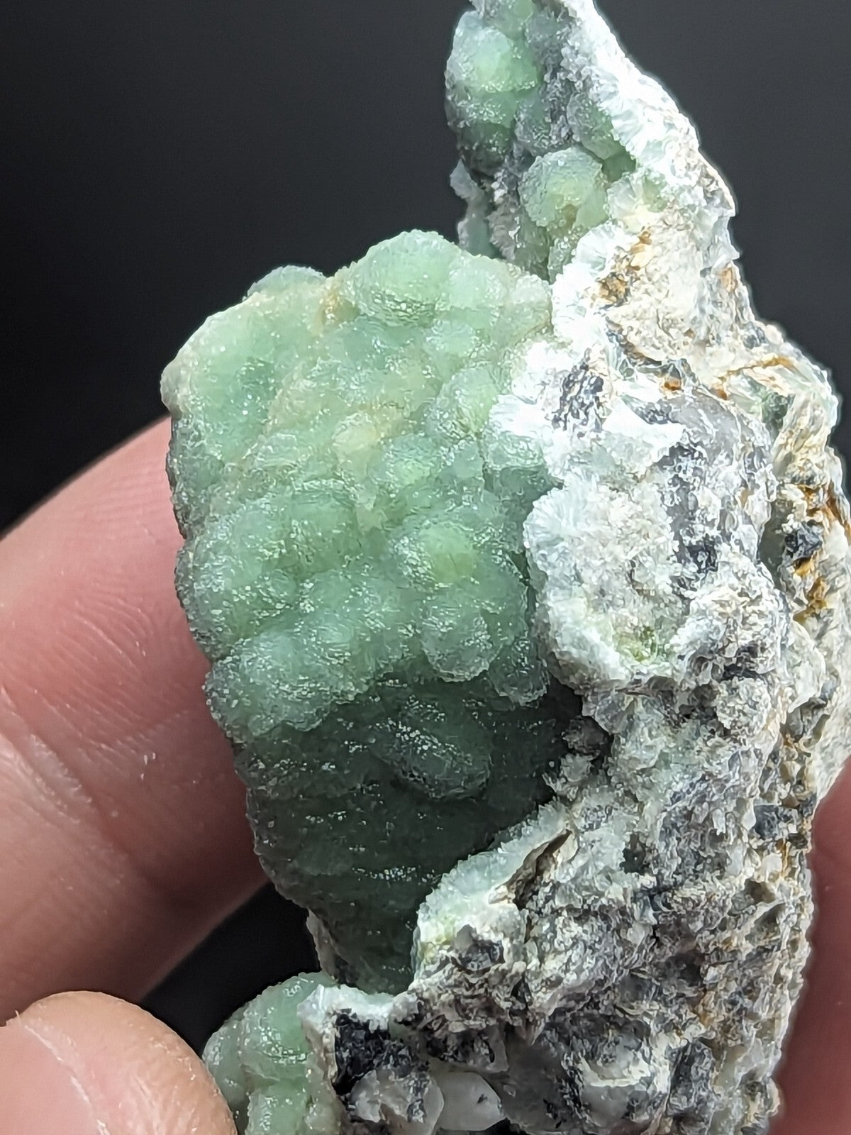 A translucent green mineral specimen with a bumpy, clustered texture growing from a rougher white and gray rock matrix.