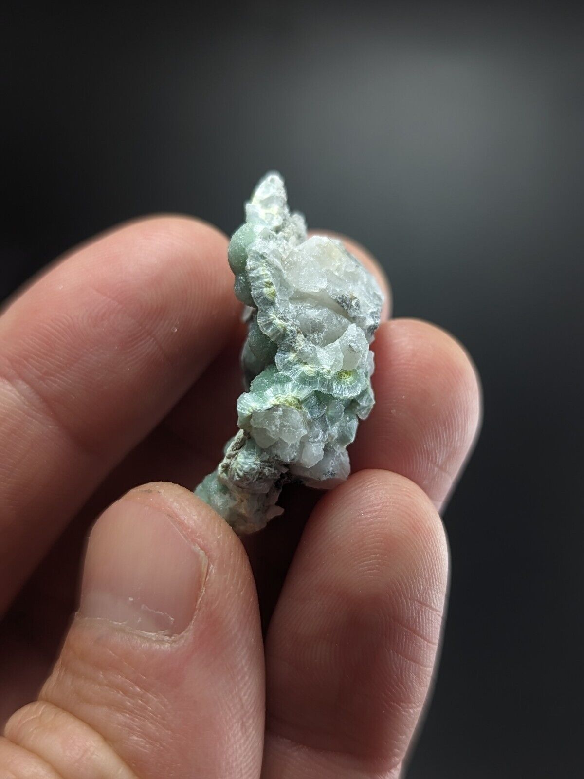 Wavellite w/ SiO2 Pseudomorphs- Fantastic Old Stock - Mauldin Mountain Arkansas - Collectibles:Rocks Fossils &