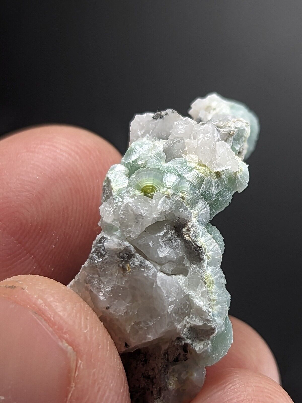 Wavellite w/ SiO2 Pseudomorphs- Fantastic Old Stock - Mauldin Mountain Arkansas - Collectibles:Rocks Fossils &