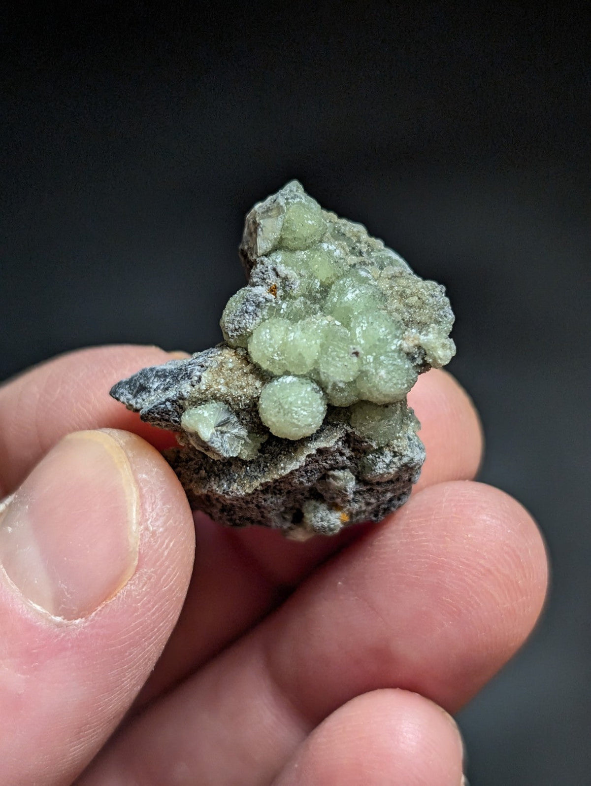 A cluster of translucent, light green spherical crystals growing from a dark gray rock matrix.