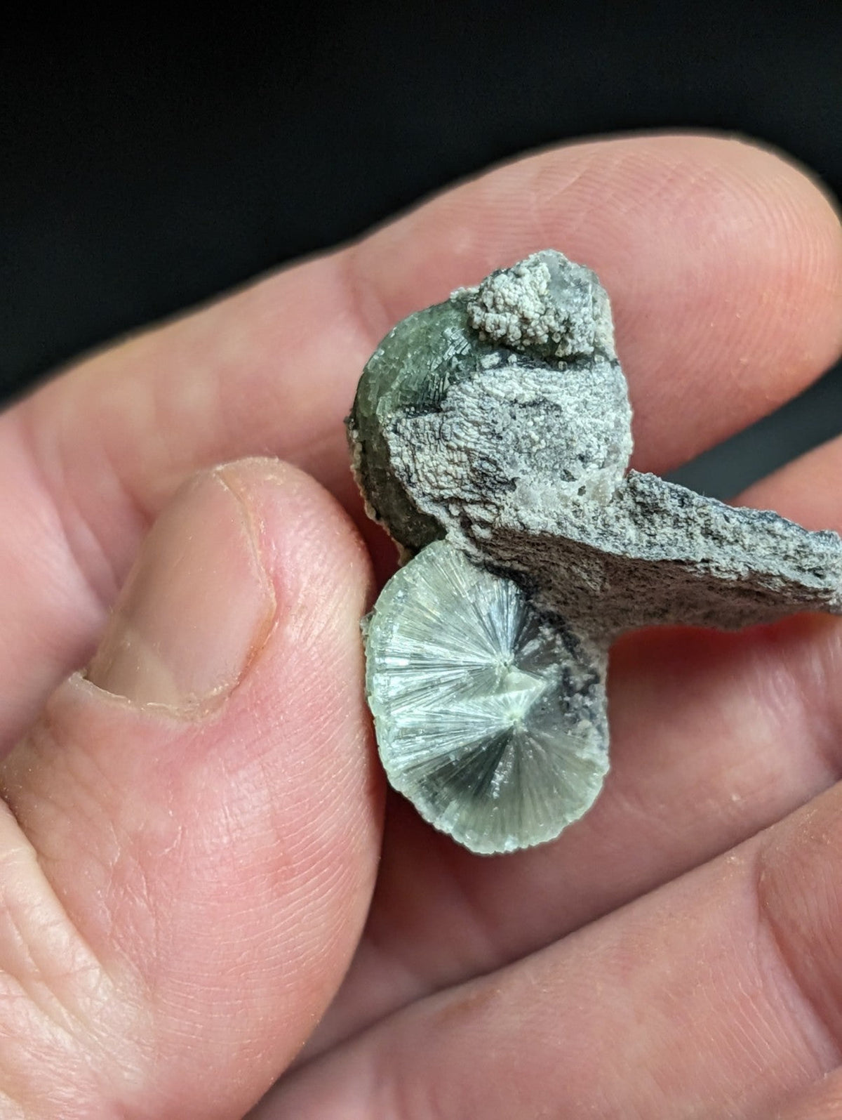 A green, crystalline mineral specimen with a fan-like internal structure and a rough, earthy exterior.