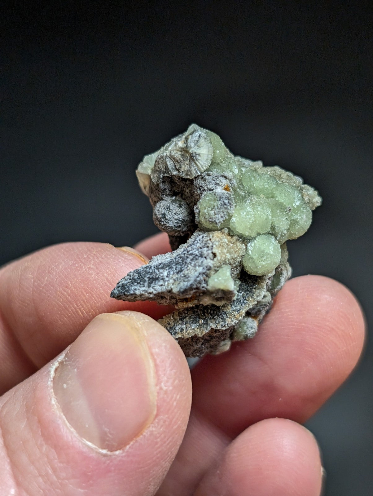 A cluster of translucent green mineral crystals growing on a dark gray rock matrix.