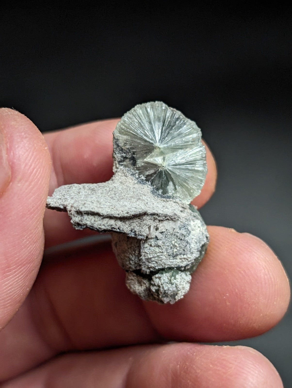 A translucent, star-shaped quartz crystal with a radial pattern emerges from a rough, gray matrix of rock.