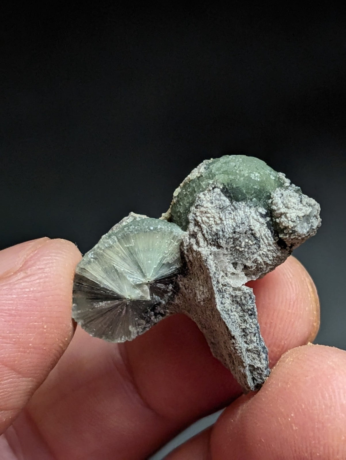 A green and gray mineral specimen featuring a translucent, fan-shaped crystal with radial facets attached to a rougher matrix.