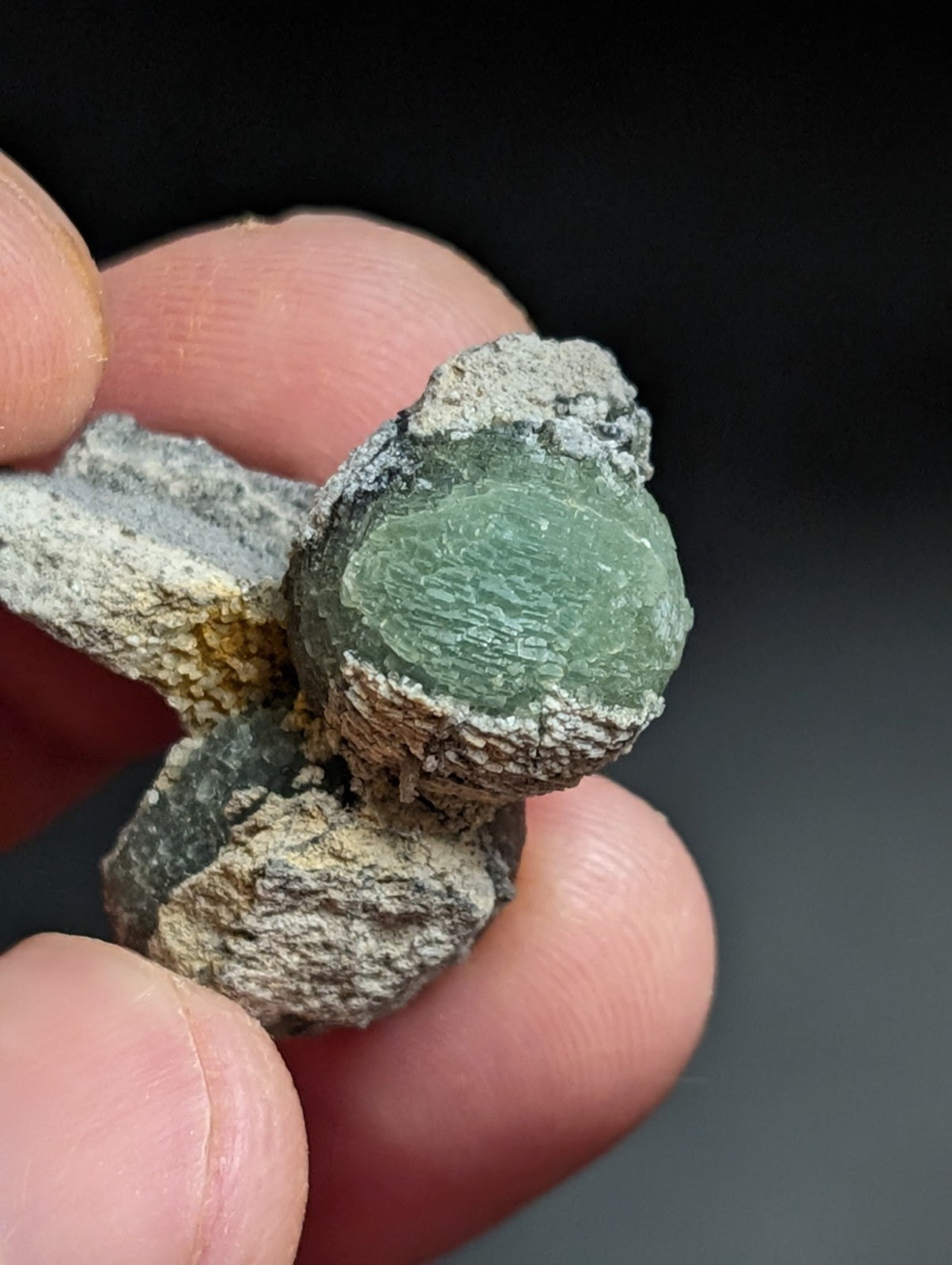 A translucent green mineral specimen with a smooth, rounded surface and visible internal crystalline patterns, embedded in a rough gray matrix.