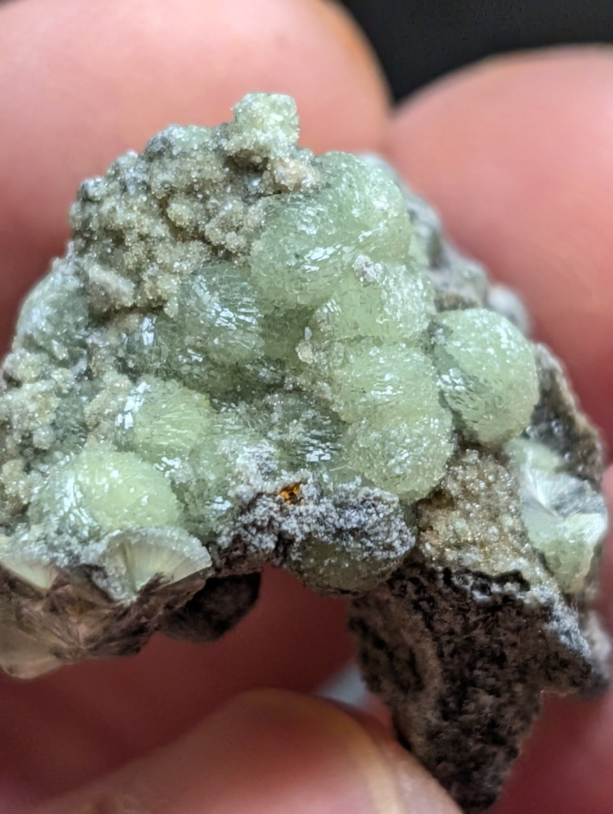 A cluster of translucent, pale green crystals growing from a dark gray rock matrix.
