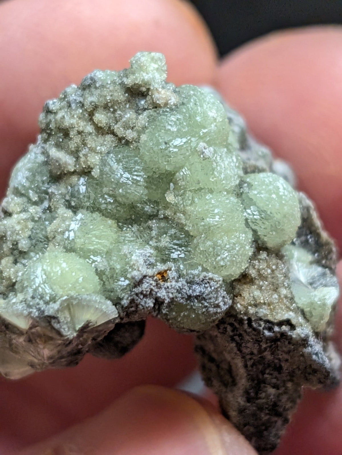 A cluster of translucent, pale green crystals growing from a dark gray rock matrix.