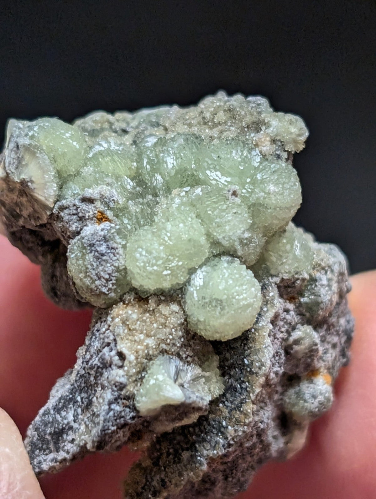 A cluster of translucent, pale green crystals growing from a dark gray rock matrix.