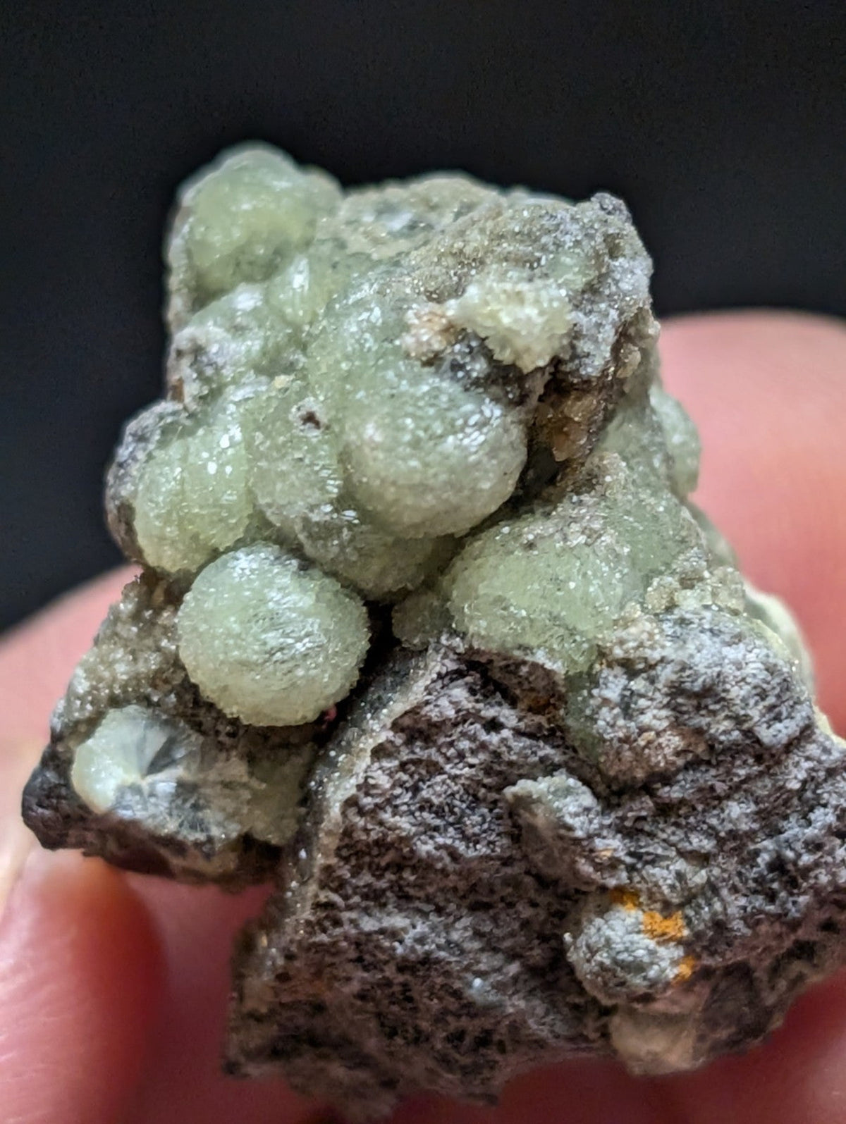 A cluster of translucent, pale green spherical crystals growing from a dark gray rock matrix.