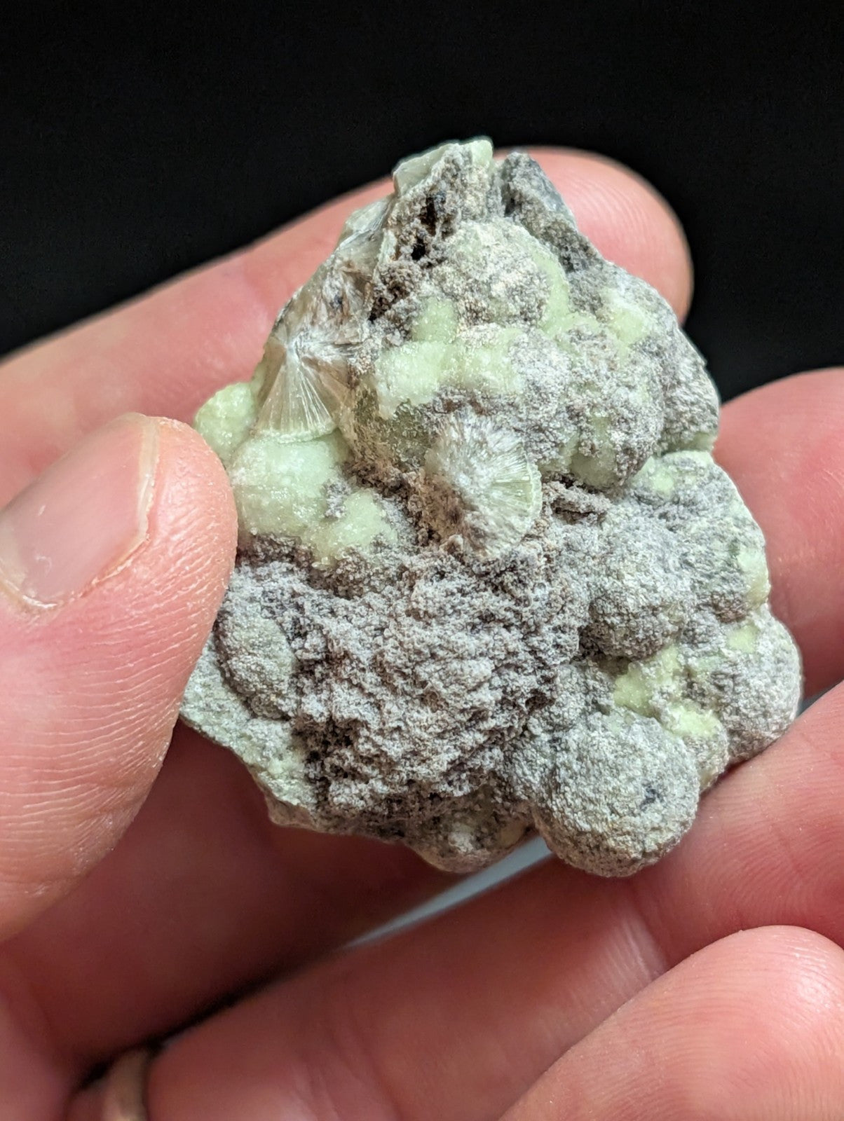 Wavellite w/ SiO2 pseudomorphs -Old Stock - Mauldin Mountain Arkansas USA - Collectibles:Rocks Fossils &