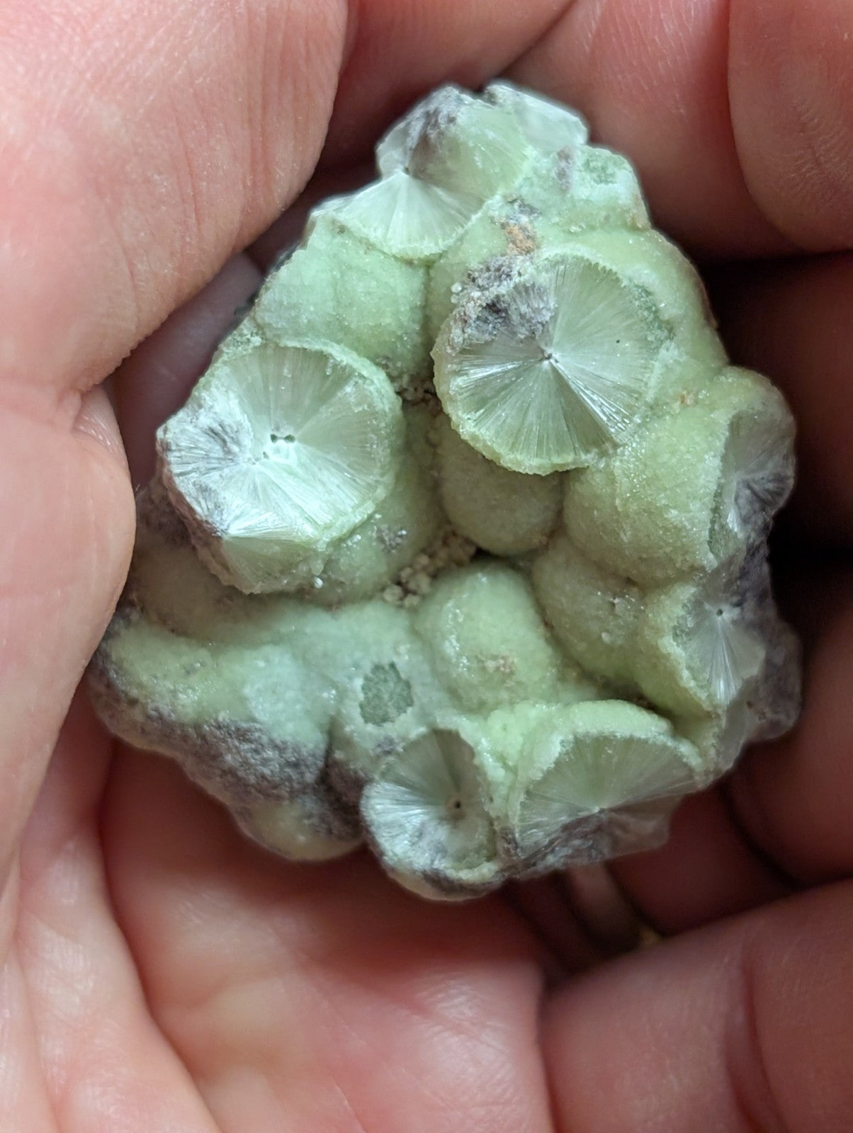 Wavellite w/ SiO2 pseudomorphs -Old Stock - Mauldin Mountain Arkansas USA - Collectibles:Rocks Fossils &