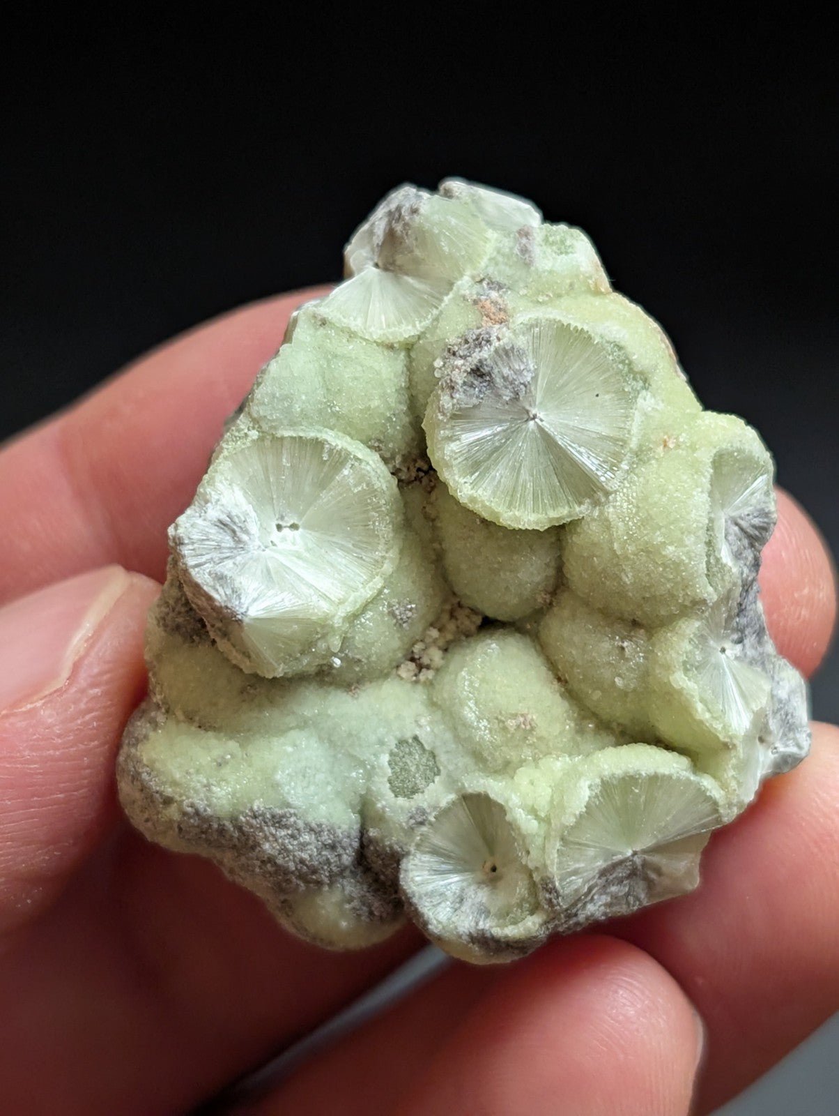 Wavellite w/ SiO2 pseudomorphs -Old Stock - Mauldin Mountain Arkansas USA - Collectibles:Rocks Fossils &