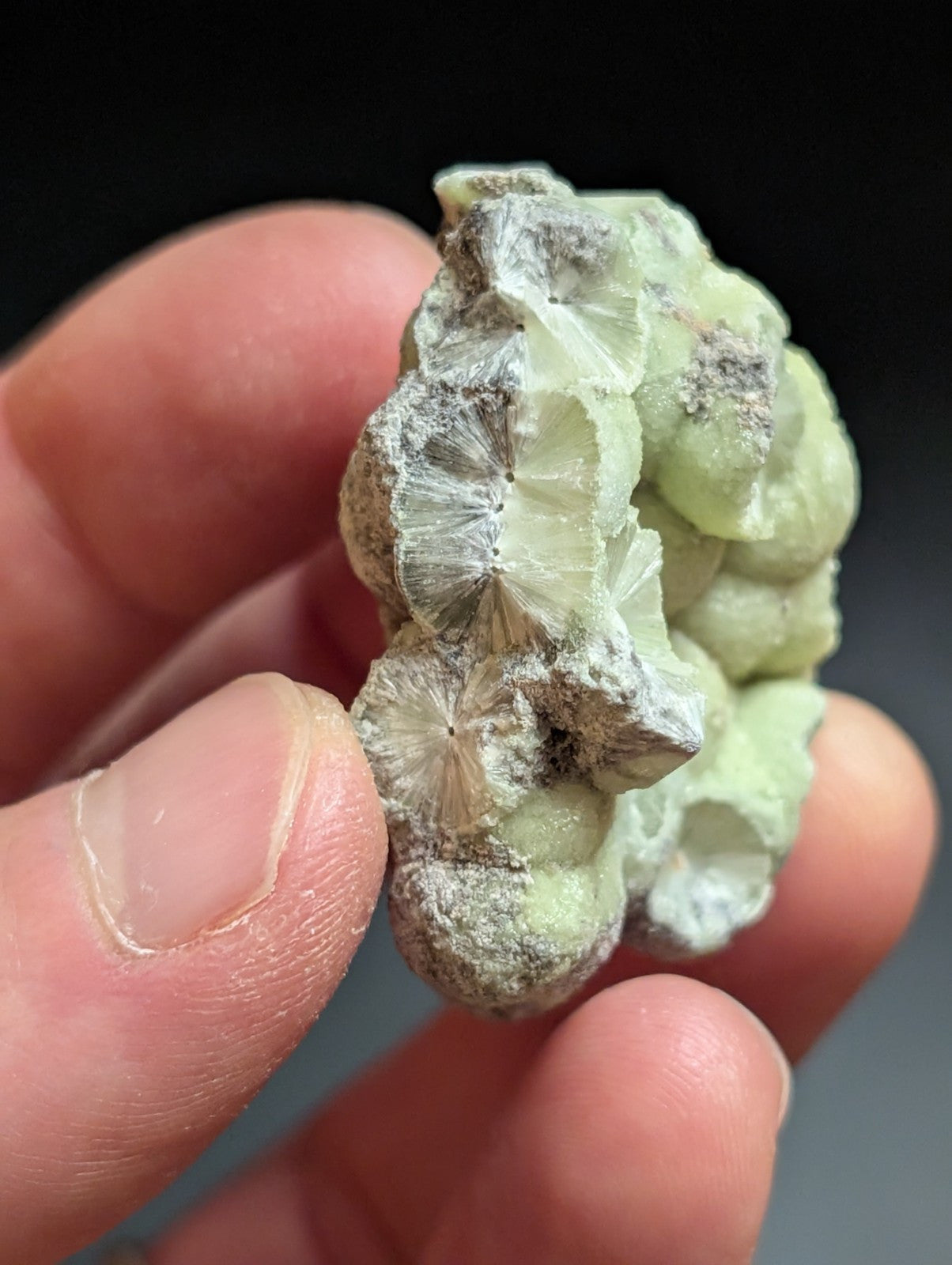 Wavellite w/ SiO2 pseudomorphs -Old Stock - Mauldin Mountain Arkansas USA - Collectibles:Rocks Fossils &