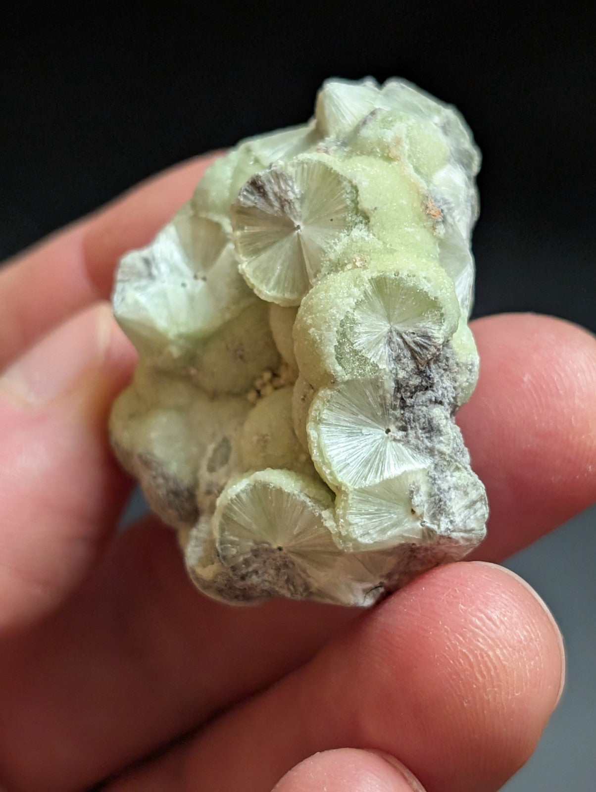 Wavellite w/ SiO2 pseudomorphs -Old Stock - Mauldin Mountain Arkansas USA - Collectibles:Rocks Fossils &