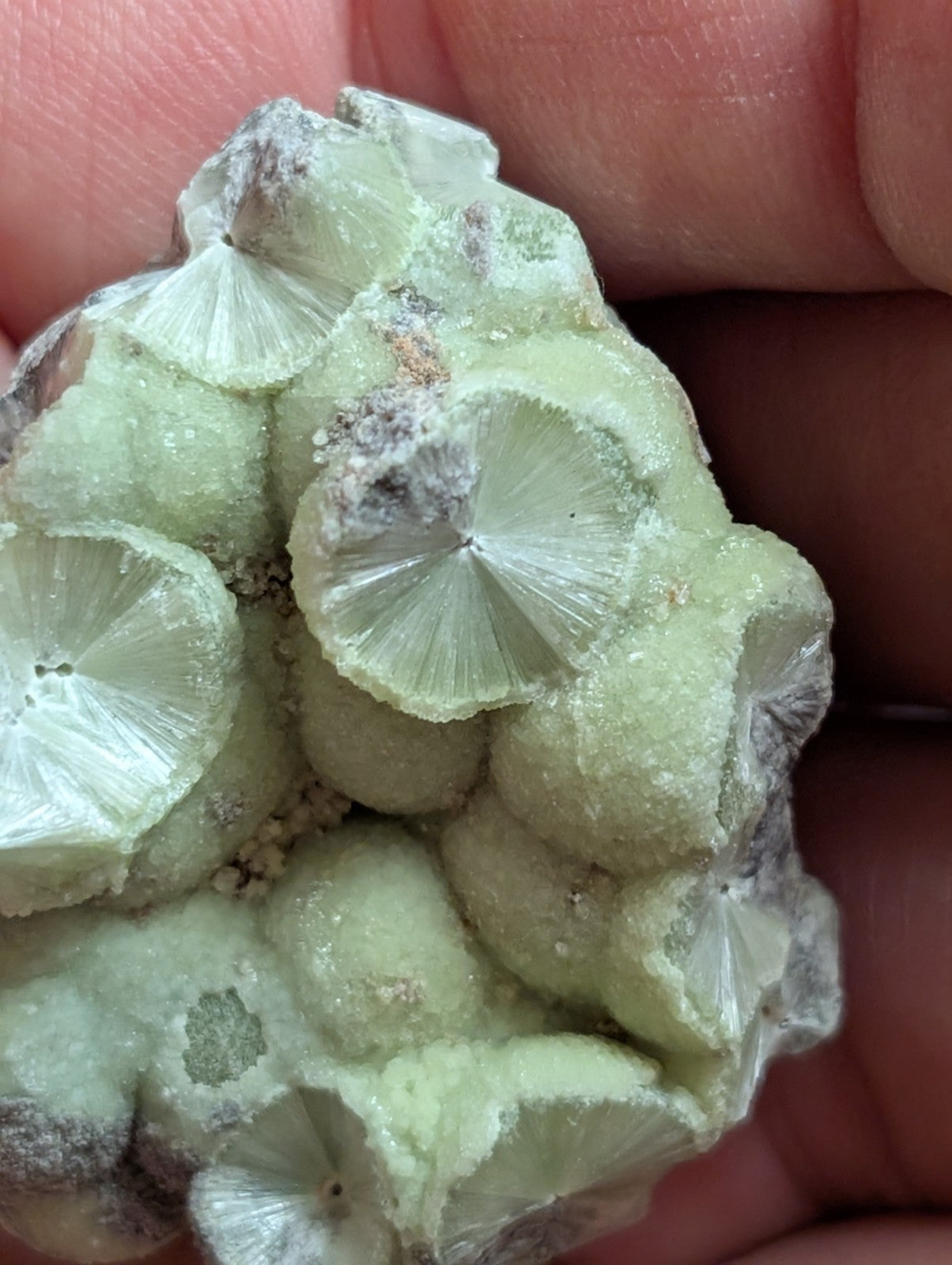 Wavellite w/ SiO2 pseudomorphs -Old Stock - Mauldin Mountain Arkansas USA - Collectibles:Rocks Fossils &
