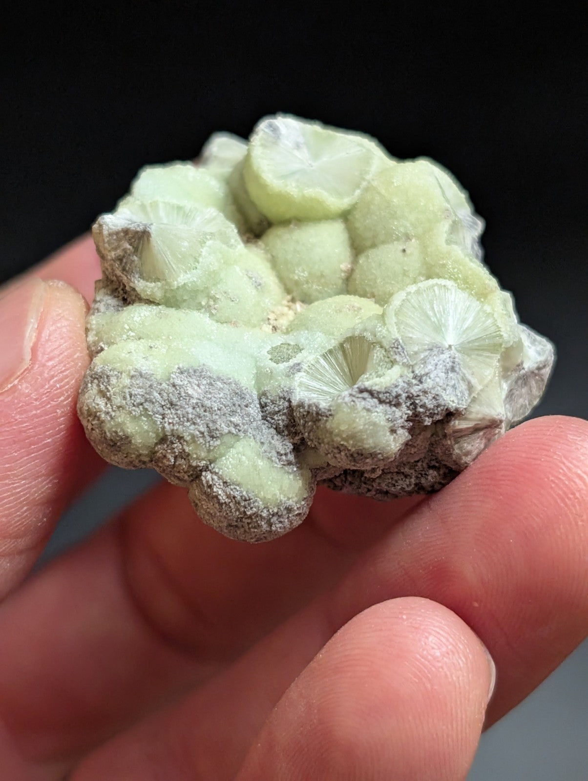 Wavellite w/ SiO2 pseudomorphs -Old Stock - Mauldin Mountain Arkansas USA - Collectibles:Rocks Fossils &