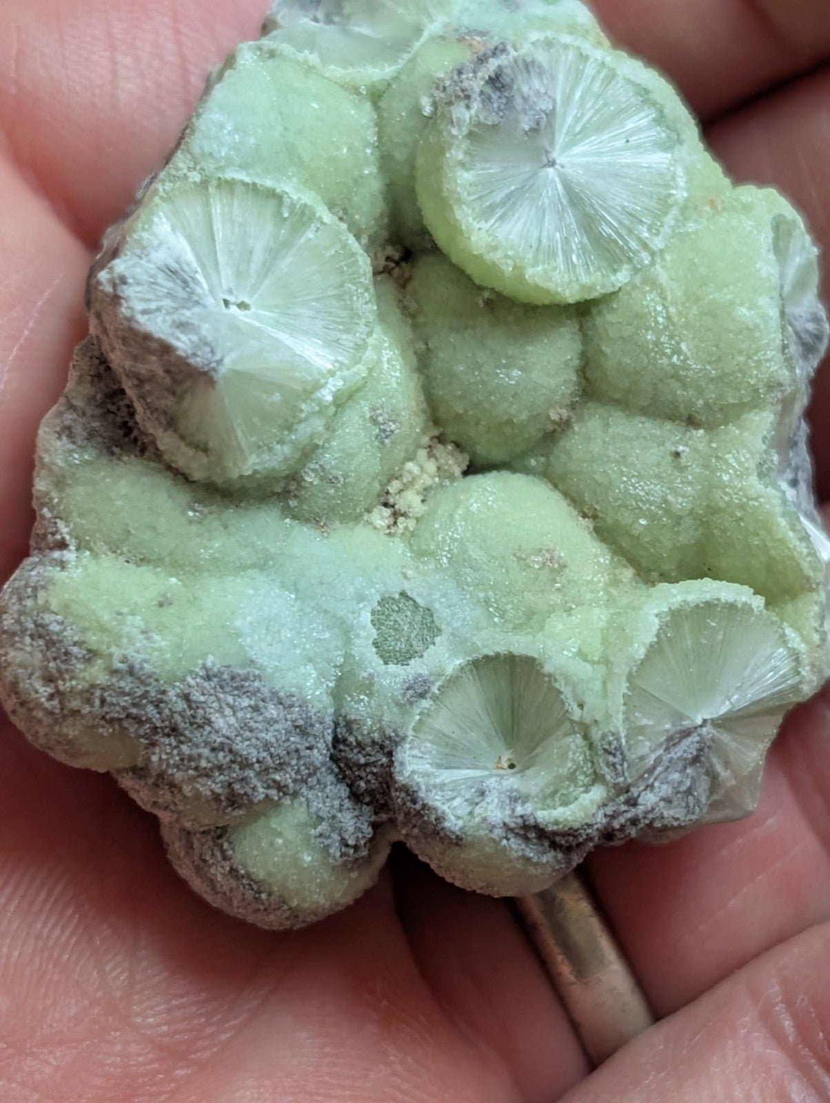 Wavellite w/ SiO2 pseudomorphs -Old Stock - Mauldin Mountain Arkansas USA - Collectibles:Rocks Fossils &