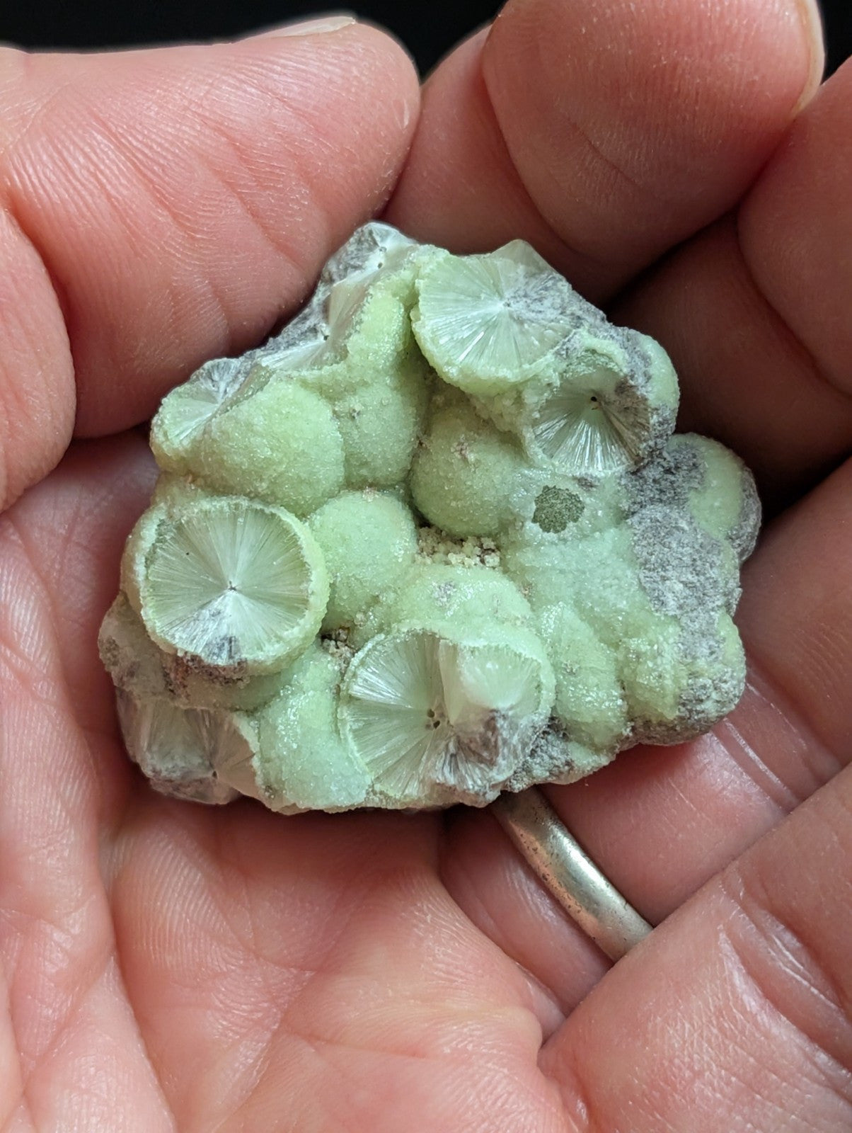 Wavellite w/ SiO2 pseudomorphs -Old Stock - Mauldin Mountain Arkansas USA - Collectibles:Rocks Fossils &