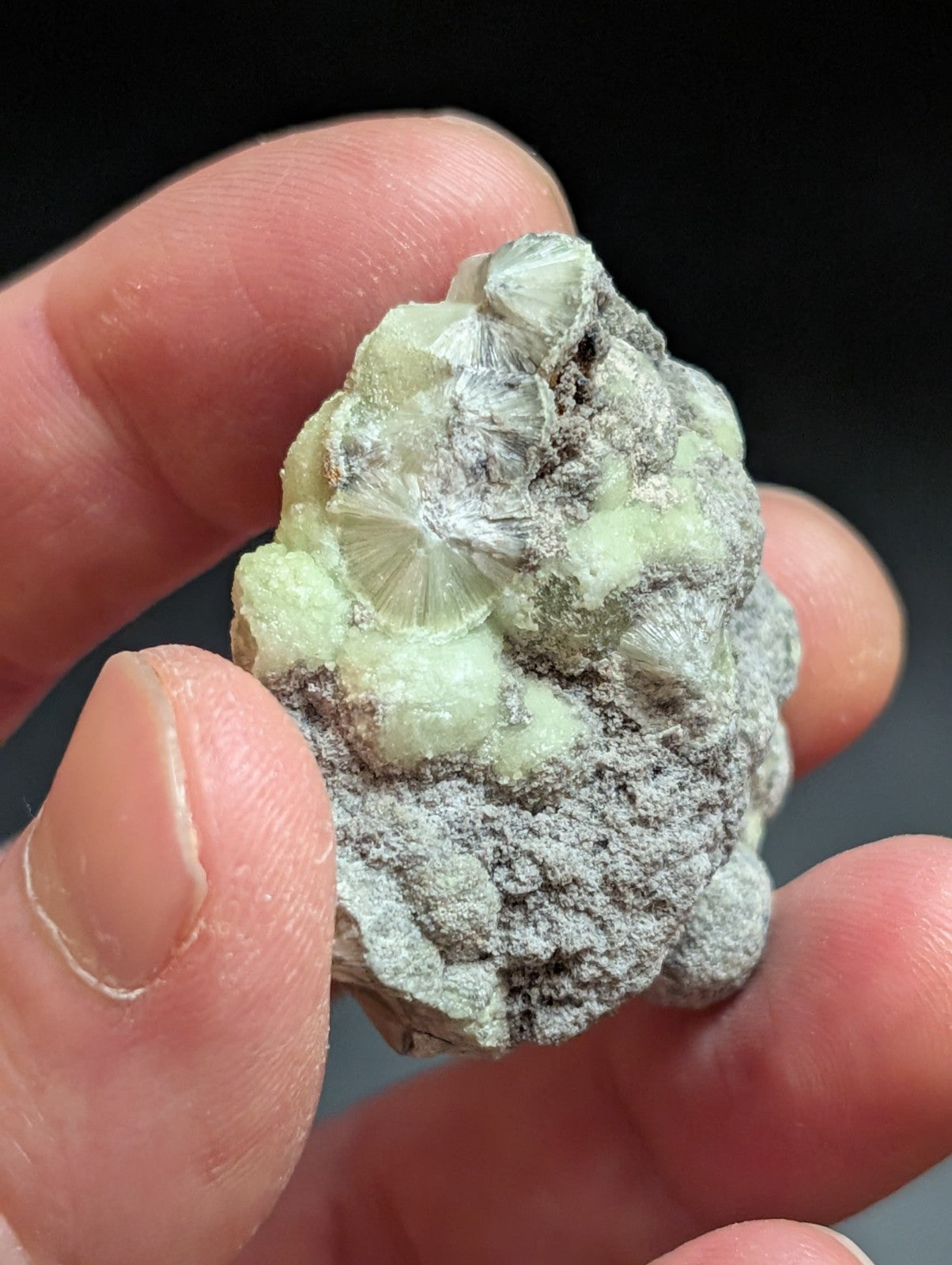 Wavellite w/ SiO2 pseudomorphs -Old Stock - Mauldin Mountain Arkansas USA - Collectibles:Rocks Fossils &