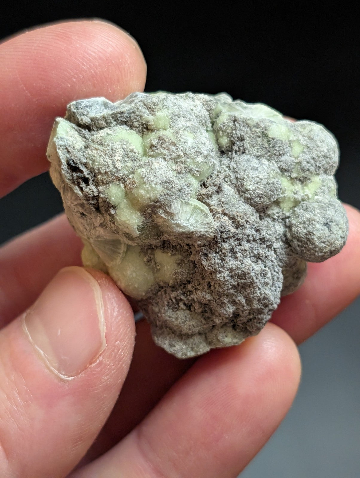Wavellite w/ SiO2 pseudomorphs -Old Stock - Mauldin Mountain Arkansas USA - Collectibles:Rocks Fossils &