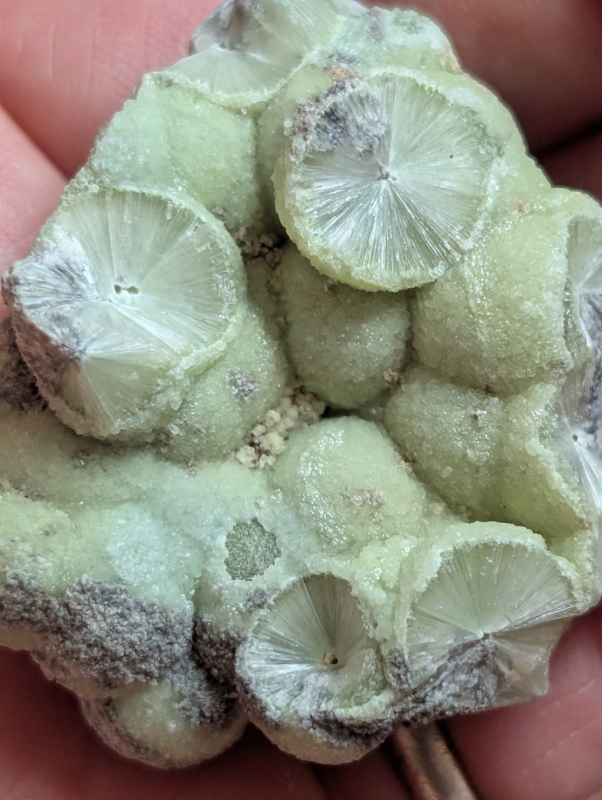 Wavellite w/ SiO2 pseudomorphs -Old Stock - Mauldin Mountain Arkansas USA - Collectibles:Rocks Fossils &