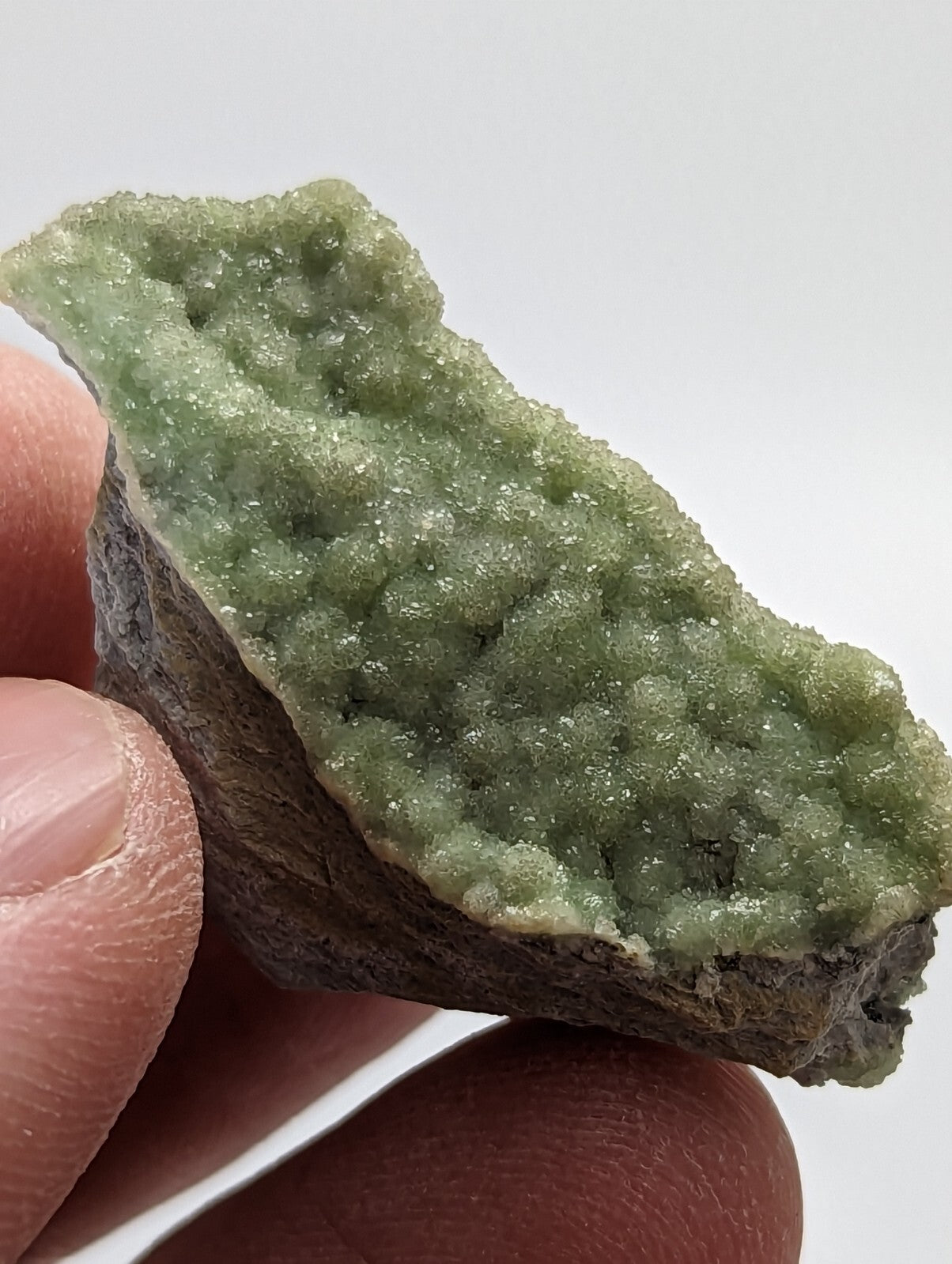 A hand holds a green mineral specimen featuring a textured, crystalline surface with a rougher, darker base.