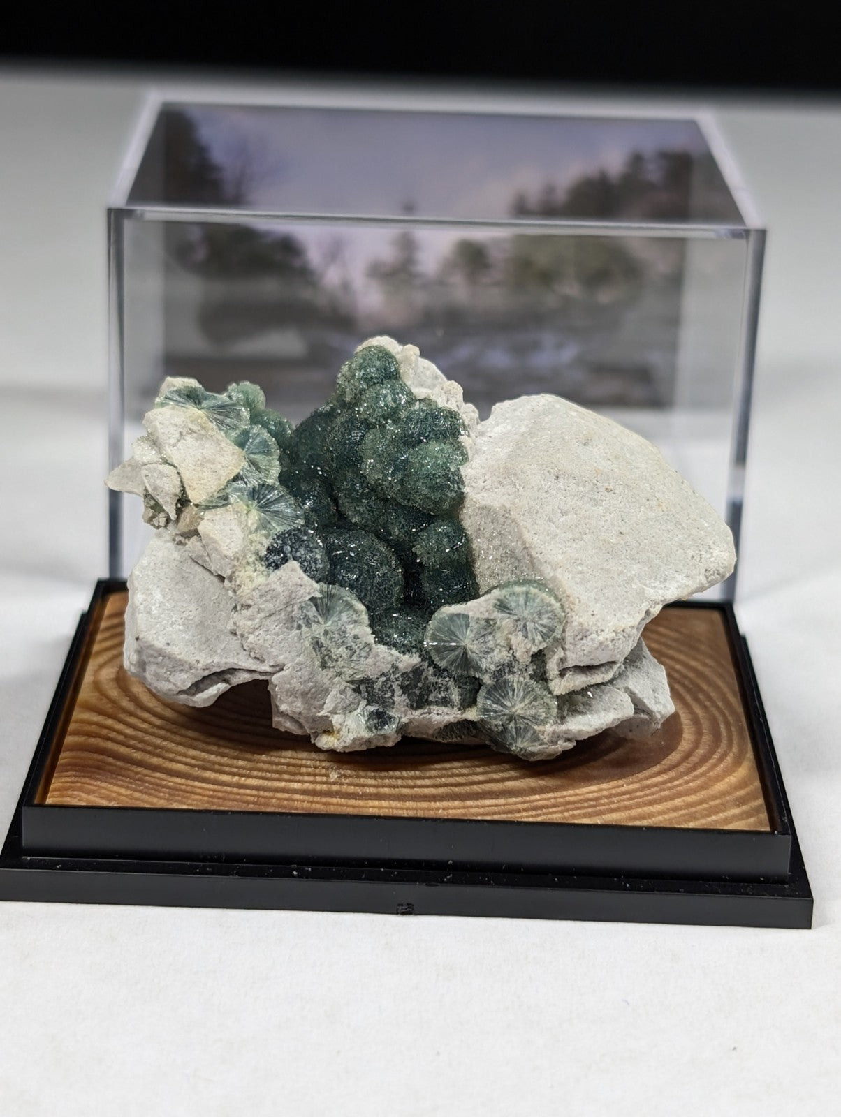 A striking green and white mineral specimen with crystalline formations displayed in a clear acrylic case on a wooden base.