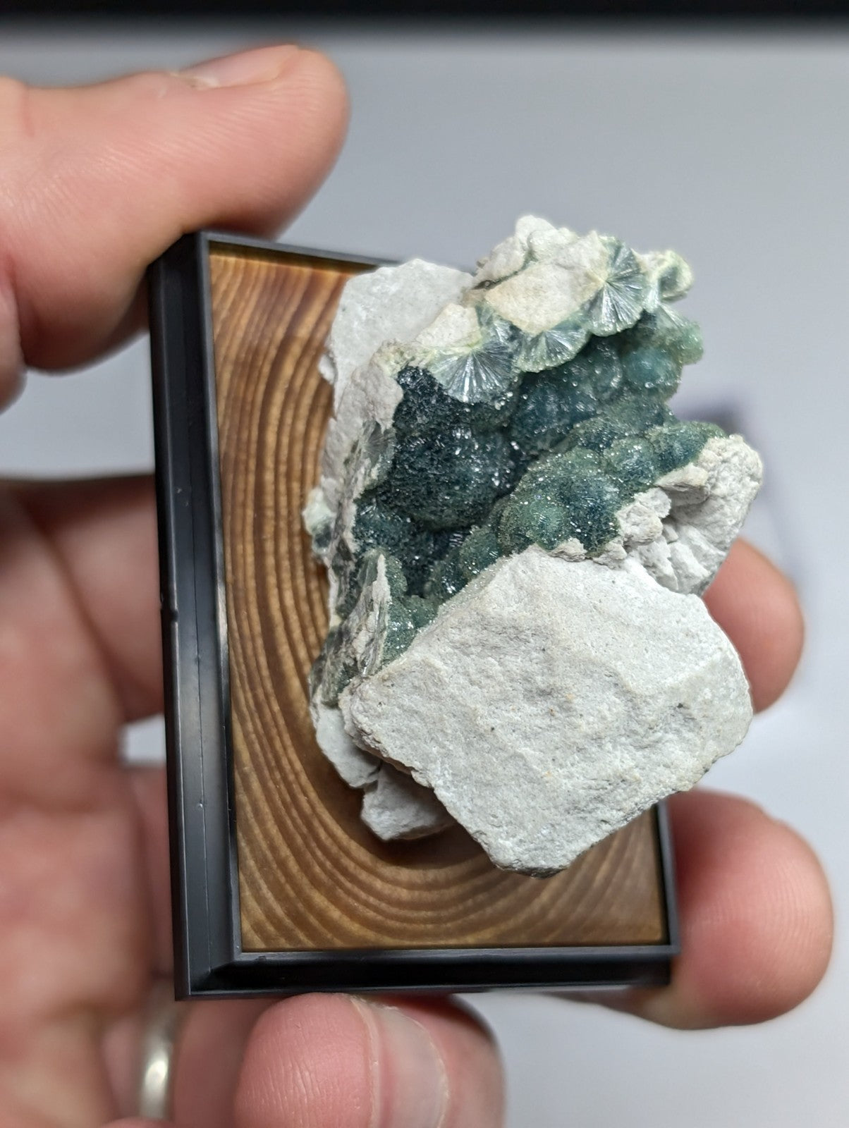 A green and white mineral specimen with fan-shaped crystals nestled in a black-framed wooden display.