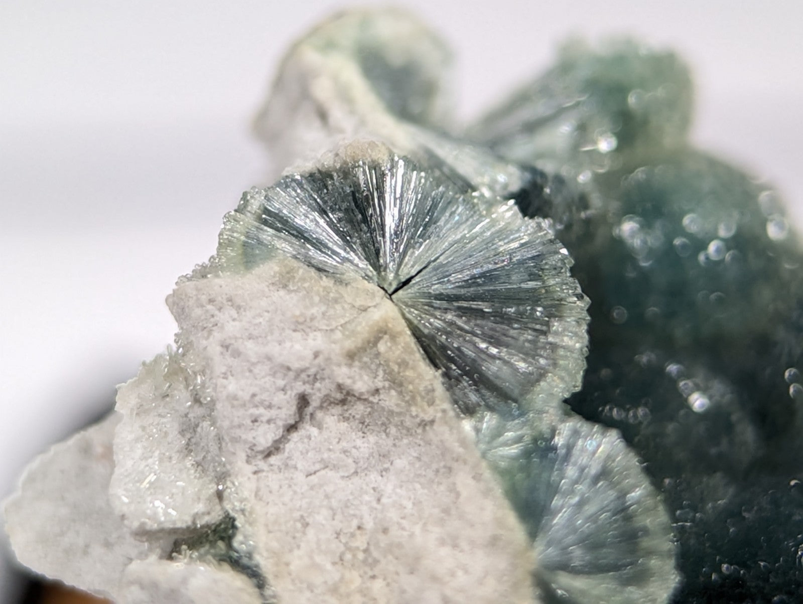 A striking greenish-blue fan-shaped mineral crystal with radiating, translucent facets.