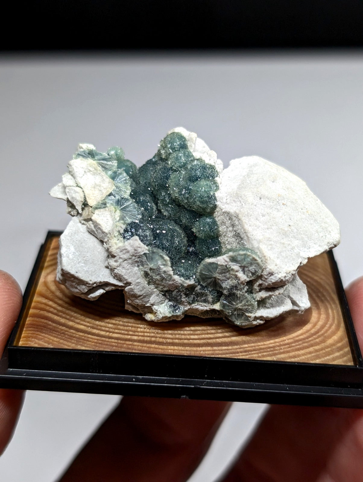 A striking green and white mineral specimen with crystalline formations displayed on a wooden base.