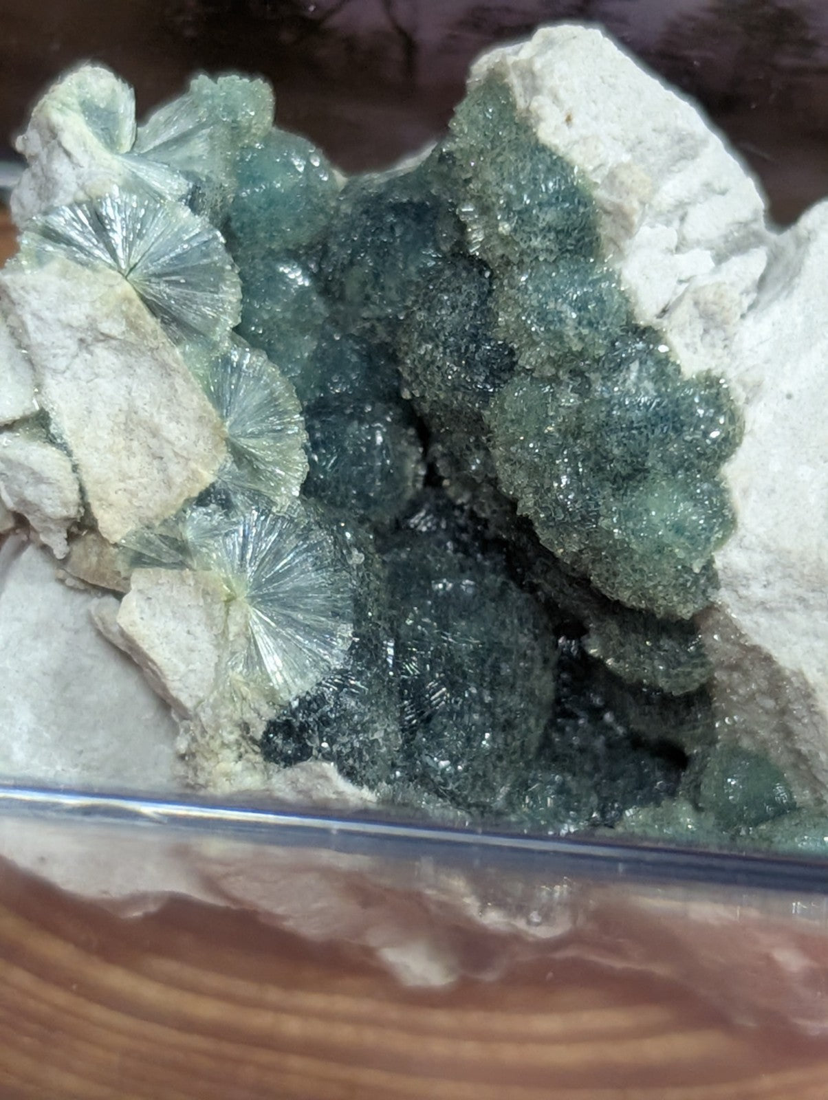 A striking green mineral specimen featuring translucent, fan-shaped crystals and a dense cluster of dark, glittering formations nestled within light-colored rock.