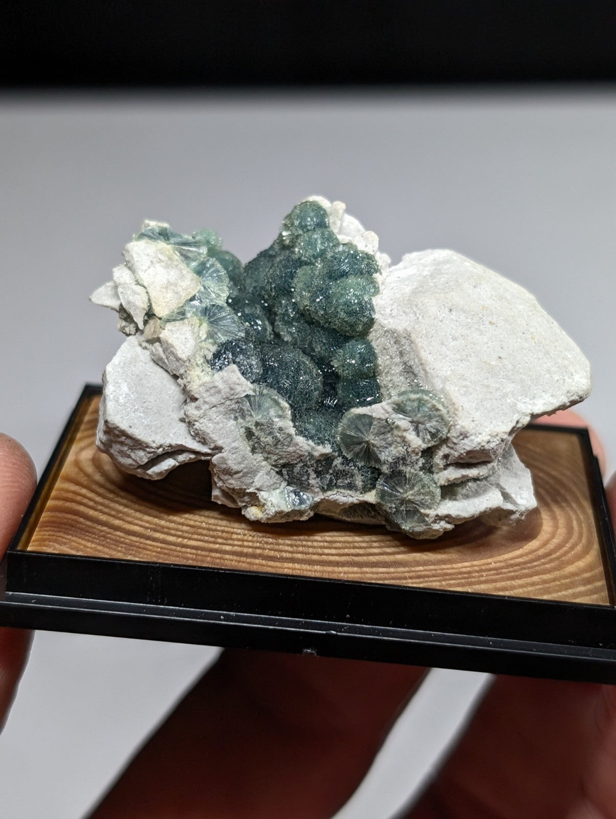 A striking green fluorite crystal cluster nestled within a white matrix, displayed on a wooden and black-framed presentation base.
