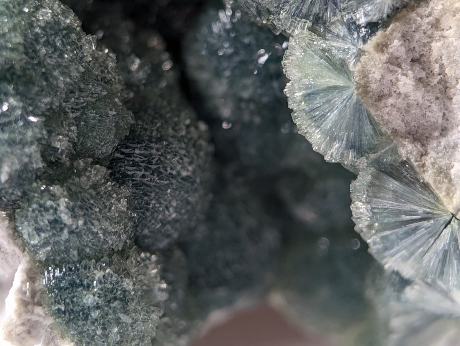 Fascinating greenish-blue fan-shaped crystals with a translucent, glassy texture and delicate radial patterns.