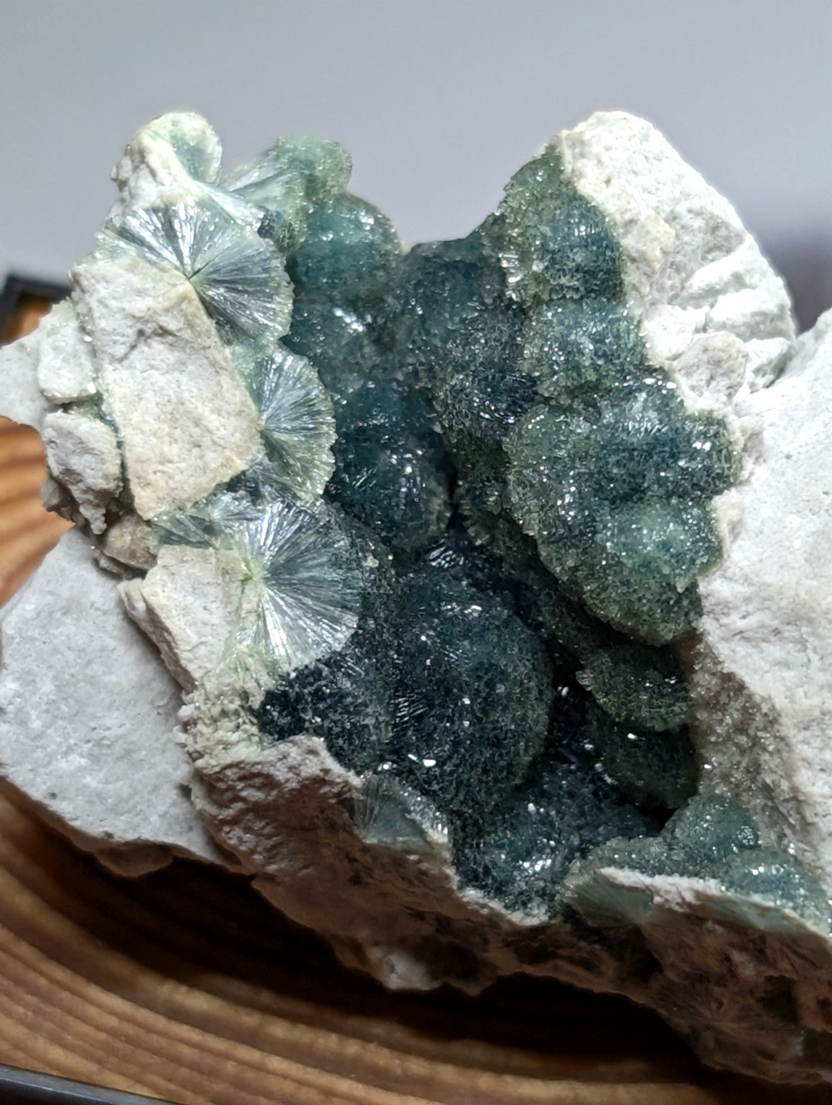 A striking green fluorite geode with translucent, fan-shaped crystals embedded in a rough white rock matrix.