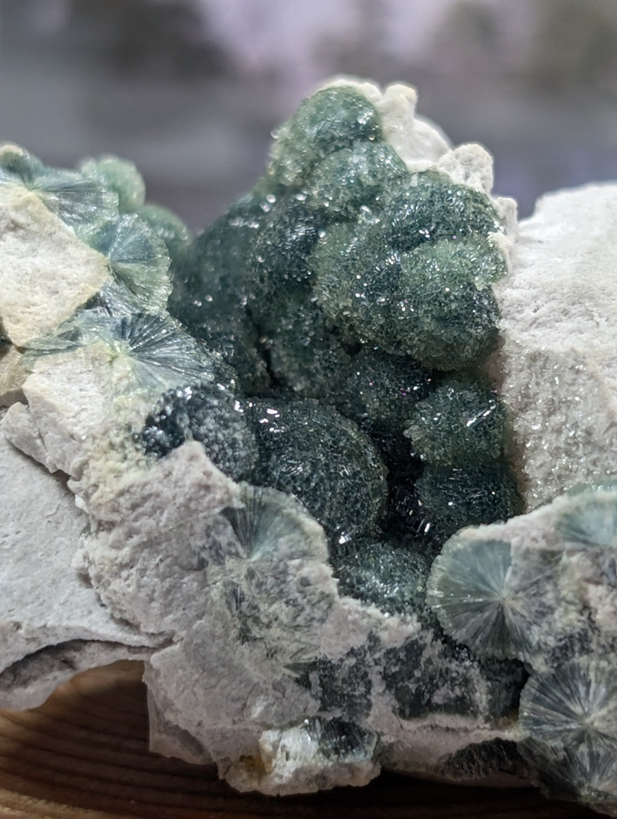 A striking green mineral specimen with a crystalline, fan-like structure embedded in light gray rock.